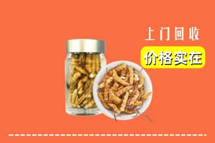 收购资讯:温岭市回收散虫草