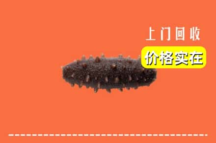 收购资讯:温岭市回收海参