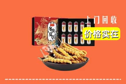 温岭市回收虫草